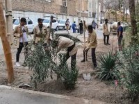 تصویر مهارت کسب شایستگی ها و مهارت های نرم